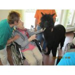 28.05.2015 Seniorenheim Vitaris